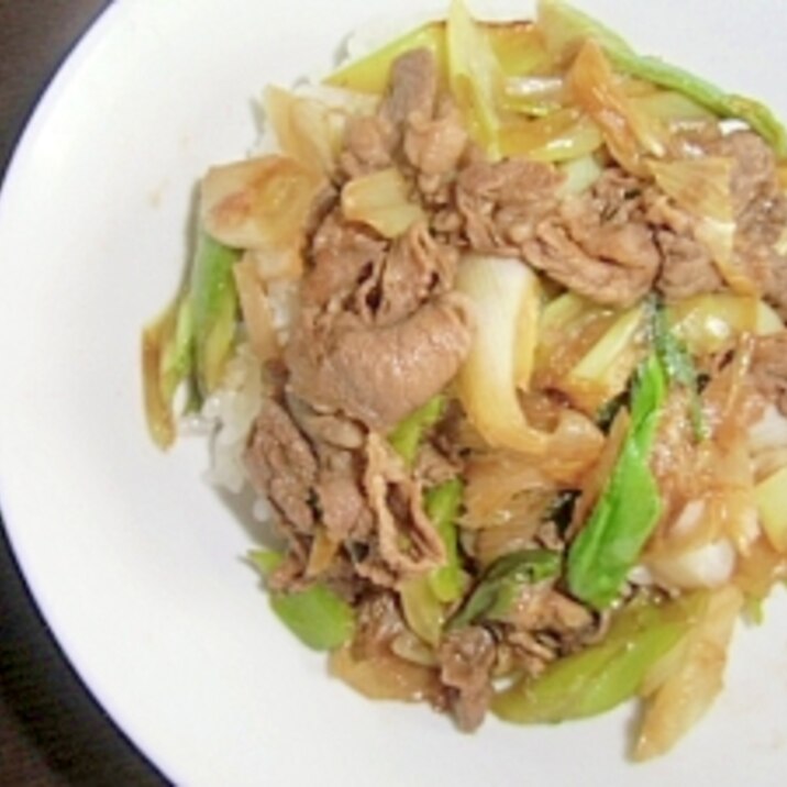 長ネギの牛丼（すき焼きのタレ使用）